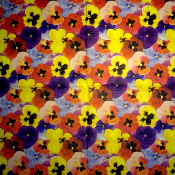 STM-013 Pansy - 3-ply